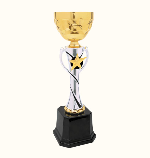 Silver/Gold Metal Cup Trophy